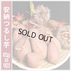 画像1: 安納つるし芋(3kg)   【2023年度の販売は終了いたしました】  