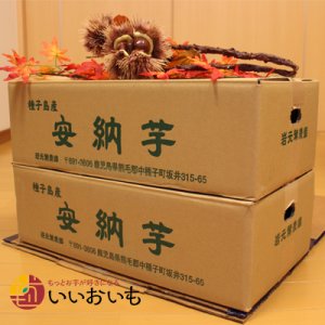 画像6: 安納芋と安納黄金(こがね)食べ比べ2箱セット　Sサイズ  【2026年度ご予約開始】  