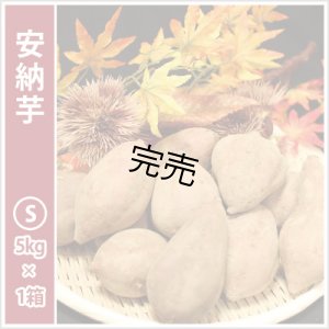 画像2: 安納芋と安納黄金(こがね)食べ比べ2箱セット　Sサイズ  【今シーズンの受付は終了いたしました】  