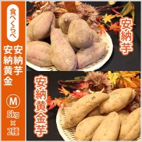 安納芋と安納黄金(こがね)食べ比べ2箱セット　Mサイズ   【2025年度のご予約受付中】  