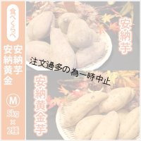 安納芋と安納黄金(こがね)食べ比べ2箱セット　Mサイズ   【2025年度のご予約受付中】  
