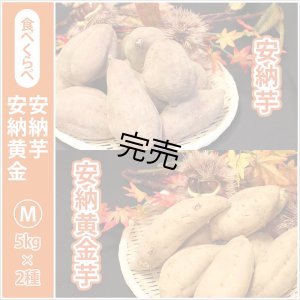 画像1: 安納芋と安納黄金(こがね)食べ比べ2箱セット　Mサイズ   【今シーズンの受付は終了いたしました】  