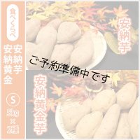 安納芋と安納黄金(こがね)食べ比べ2箱セット　Sサイズ  【2025年度のご予約開始まで今しばらくお待ちください】  