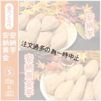 安納芋と安納黄金(こがね)食べ比べ2箱セット　Sサイズ  【2025年度のご予約受付中】  