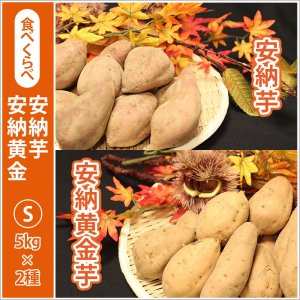 画像1: 安納芋と安納黄金(こがね)食べ比べ2箱セット　Sサイズ  【2026年度ご予約開始】  