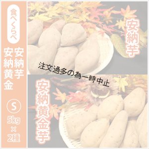 画像1: 安納芋と安納黄金(こがね)食べ比べ2箱セット　Sサイズ  【2025年度のご予約受付中】  