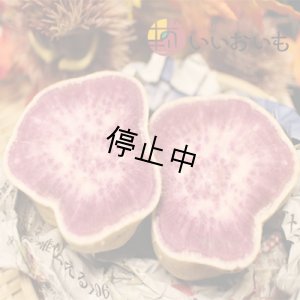 画像3: 紫芋　S〜Lサイズミックス(4箱セット)  【今期は販売中止】  