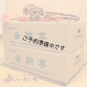 画像3: 安納黄金　Mサイズ(2箱セット)   【2025年度のご予約開始まで今しばらくお待ちください】  
