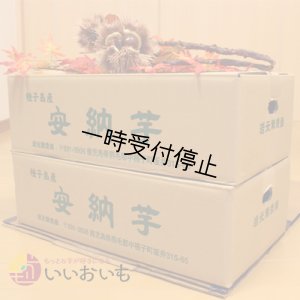 画像3: 安納芋　Sサイズ(2箱セット)  【2024年度のご予約スタート！お届けは12月初旬予定！】  