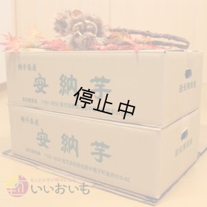 画像3: 訳あり安納芋(2箱セット)  【選別後 収穫量を見て販売可能か判断いたします】  
