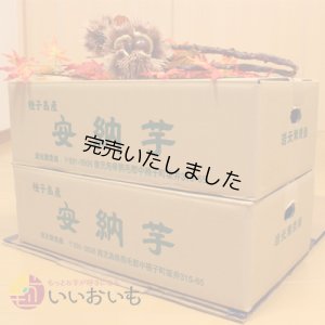 画像3: 安納黄金　Mサイズ(2箱セット)   【今シーズンの受付は終了いたしました。】  