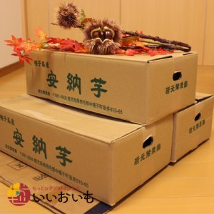 画像3: 安納芋　コロコロ2Sサイズ(3箱セット)   【2025年度のご予約受付中】  