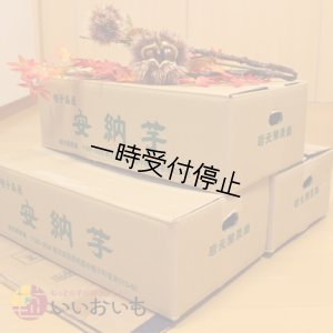 画像3: 安納芋　Sサイズ(3箱セット)   【2024年度のご予約スタート！お届けは12月初旬予定！】   