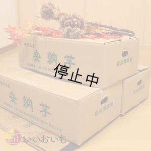 画像3: 訳あり安納黄金(3箱セット)   【選別後 収穫量を見て販売可能か判断いたします】  