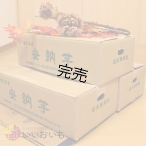 画像3: 安納黄金　Mサイズ(3箱セット)  【今シーズンの受付は終了いたしました】  