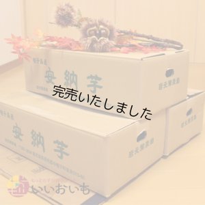 画像3: 安納黄金　Mサイズ(3箱セット)  【今シーズンの受付は終了いたしました。】  