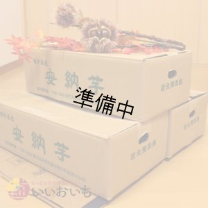 画像3: 安納芋　Mサイズ(3箱セット)   【2026年度ご予約開始】  