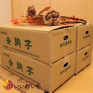 画像3: 安納芋　Mサイズ(4箱セット)   【2025年度のご予約受付中】  