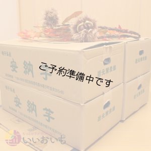 画像3: 安納黄金　コロコロサイズ(4箱セット)   【2025年度のご予約開始まで今しばらくお待ちください】  
