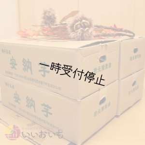 画像3: 安納芋　Sサイズ(4箱セット)   【2024年度のご予約スタート！お届けは12月初旬予定！】  