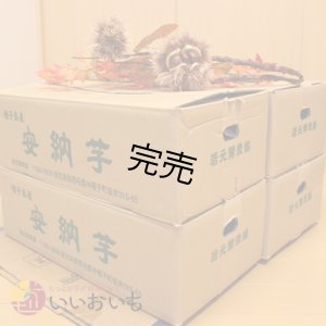 画像3: 安納芋　コロコロ2Sサイズ(4箱セット)   【2025年度ご注文受付中】  