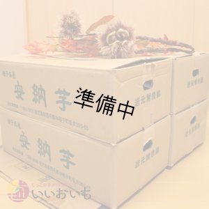 画像3: 安納芋　Mサイズ(4箱セット)   【2026年度ご予約開始】  