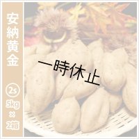 安納黄金　コロコロサイズ(2箱セット)   【一時休止中】  