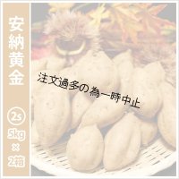 安納黄金　コロコロサイズ(2箱セット)   【2025年度のご予約受付中】  