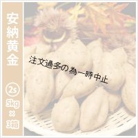 安納黄金　コロコロサイズ(3箱セット)   【2025年度のご予約受付中】  