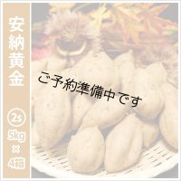 安納黄金　コロコロサイズ(4箱セット)   【2025年度のご予約開始まで今しばらくお待ちください】  