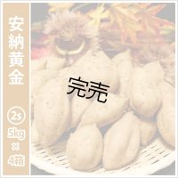 安納黄金　コロコロサイズ(4箱セット)   【今シーズンの受付は終了いたしました】  