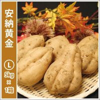 安納黄金　Lサイズ  【2026年度ご予約開始】  