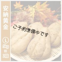 安納黄金　Lサイズ(2箱セット)  【2025年度のご予約開始まで今しばらくお待ちください】  