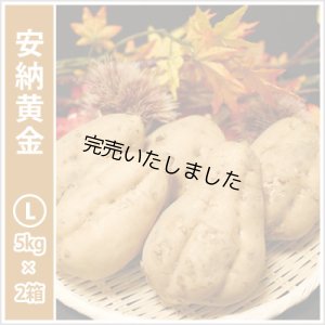画像1: 安納黄金　Lサイズ(2箱セット)  【今シーズンの受付は終了いたしました。】  