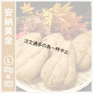 画像1: 安納黄金 Lサイズ(2箱セット)  【2025年度のご予約受付中】
