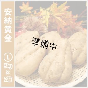 画像1: 安納黄金　Lサイズ(2箱セット)  【2026年度ご予約開始】  