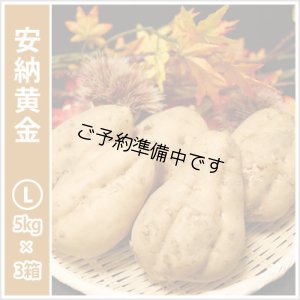 画像1: 安納黄金　Lサイズ(3箱セット)  【2025年度のご予約開始まで今しばらくお待ちください】  