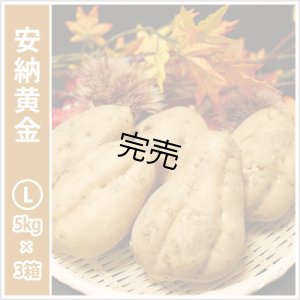画像1: 安納黄金　Lサイズ(3箱セット)  【今シーズンの受付は終了いたしました】  