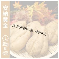 安納黄金　Lサイズ(4箱セット)  【2025年度のご予約受付中】  
