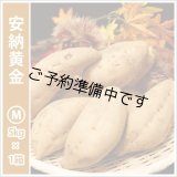 安納黄金　Mサイズ   【2025年度のご予約開始まで今しばらくお待ちください】  