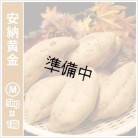 安納黄金　Mサイズ   【2026年度ご予約開始】  