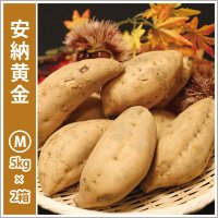 安納黄金　Mサイズ(2箱セット)   【2025年度ご注文受付中】  