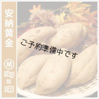 安納黄金　Mサイズ(2箱セット)   【2025年度のご予約開始まで今しばらくお待ちください】  