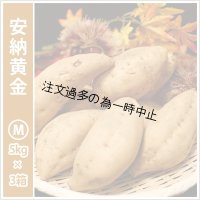 安納黄金　Mサイズ(3箱セット)  【2025年度のご予約受付中】  