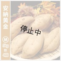 安納黄金　Mサイズ(4箱セット)   【停止中】  