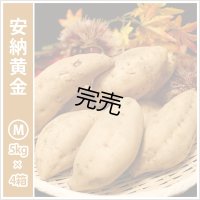 安納黄金　Mサイズ(4箱セット)   【今シーズンの受付は終了いたしました】  