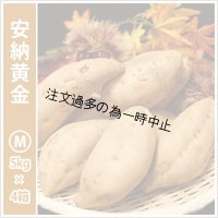 安納黄金　Mサイズ(4箱セット)   【2025年度のご予約受付中】  