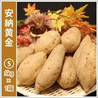 安納黄金　Sサイズ   【2025年度のご予約受付中】  