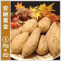 安納黄金　Sサイズ(2箱セット)   【2025年度のご予約受付中】  