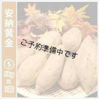 安納黄金　Sサイズ(2箱セット)   【2025年度のご予約開始まで今しばらくお待ちください】  